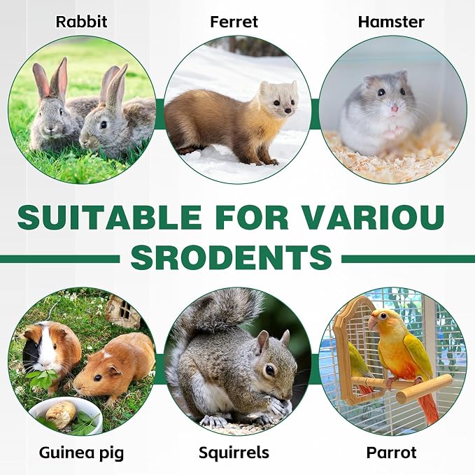 Salcod Top Fill Small Animal Water Dispenser for Cage, 42 oz No Drip Rabbit Water Bottle with Easy Mount Clip, Large Bunny Water Dispenser for Rabbit, Guinea Pig, Chinchilla, Ferret, BPA Free, White