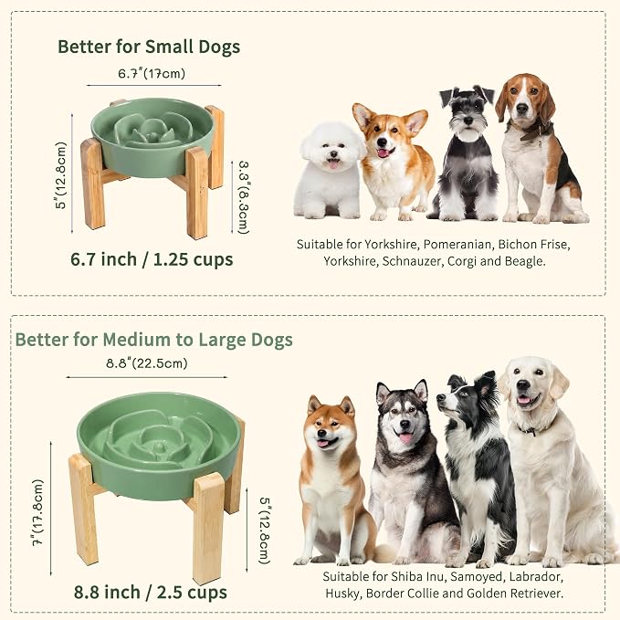 Elevated Slow Feeder Dog Bowl Large Breed, 8.8 Inch Ceramic Slow Eating Bowl with Bamboo Stand, Anti-Choking Raised Maze Design for Medium to Large Dogs, 3.2 Cup, Green