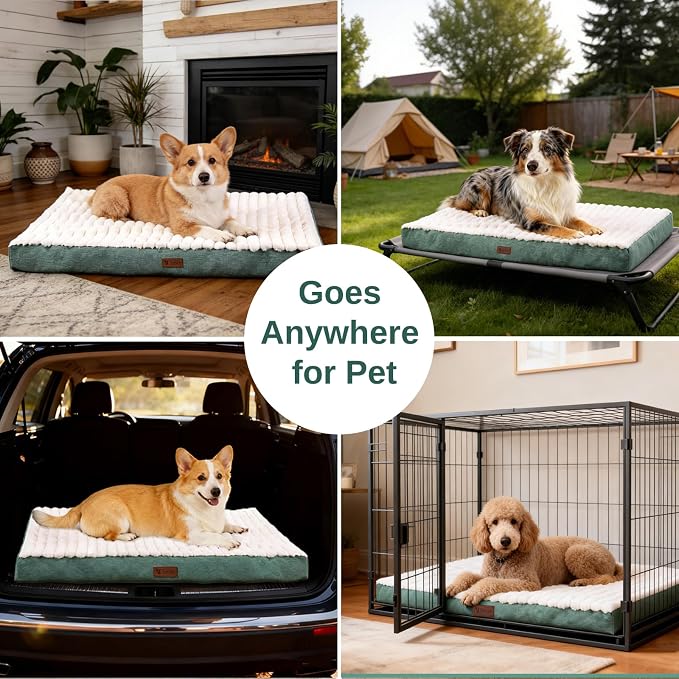 Orthopedic Dog Bed with Firm High-Density Egg Crate Foam, Machine Washable Cover & Non-Slip Bottom for Medium Breeds (Green, 29" L x 18" W x 3" H)