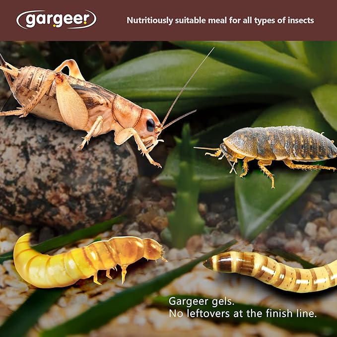 Gargeer Bugs and Insects Food. Complete Gel Diet for Roaches, Crickets, Worms, Dubia, Fly, etc. Made in The USA, Using Premium Nutritional Ingredients. 3oz Powder Turns into 1 Pound of Ready Food.