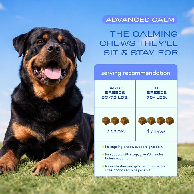 Native Pet Advanced Calming Chews for Dogs - Anxiety Relief, Stress, Separation, Travel & Sleep Support with Melatonin for Dogs, Hydrolyzed Casein, Valerian Root & L-Tryptophan -30 Chews