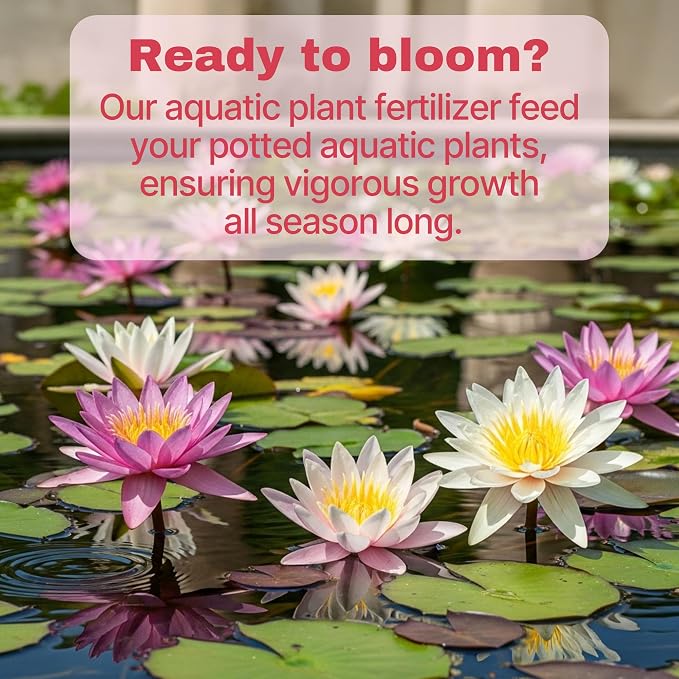 Aquatic Plant Fertilizer for Water Lily and Lotus,Water Lily Fertilizer Tablets-Fish Friendly,Lotus Fertilizer- Supports Lily and Lotus Blooming & Root Growth,Pond Plant Fertilizer-100 Tablets