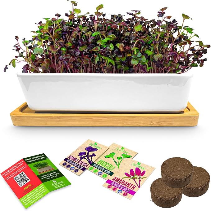 ZESTIGREENS Ceramic Microgreens Growing Kit to Grow 3 Crops Including Organic USDA Red Amaranth, Purple Rambo Radish & Broccoli Microgreens Seeds.