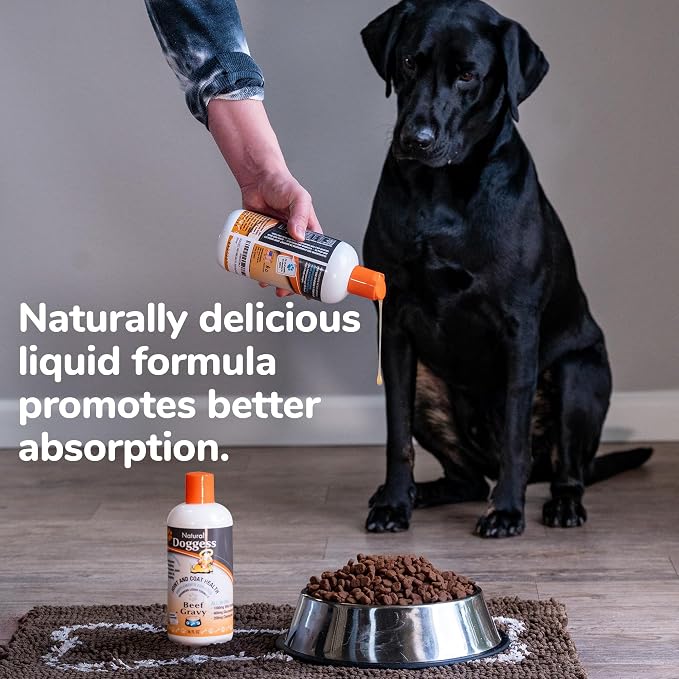 Dressing Best Hip and Joint Supplement for Dogs, Glucosamine & Chondroitin/Joint Health/Salmon Oil for Dogs Skin and Coat Health, Delicious Beef Gravy Flavor - 16 Oz Pack of 1