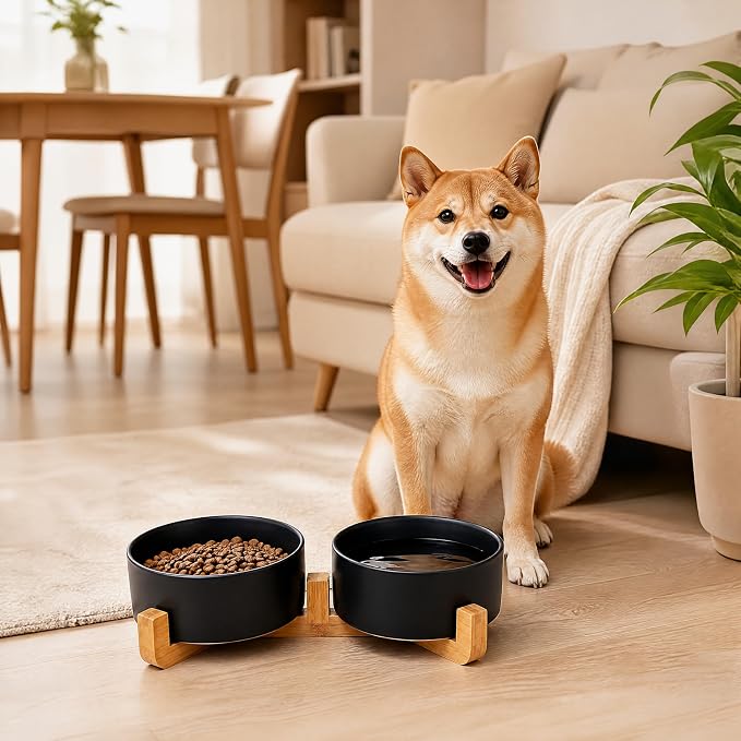 Petygooing Ceramic Dog Cat Bowls Set with Stand,Black Pet Food and Water Bowl,Small Dog Bowls Cute Modern Anti Slip Set of 2 Pet Feeder Small Size Pet Dish(13.5OZ/5.1 in)