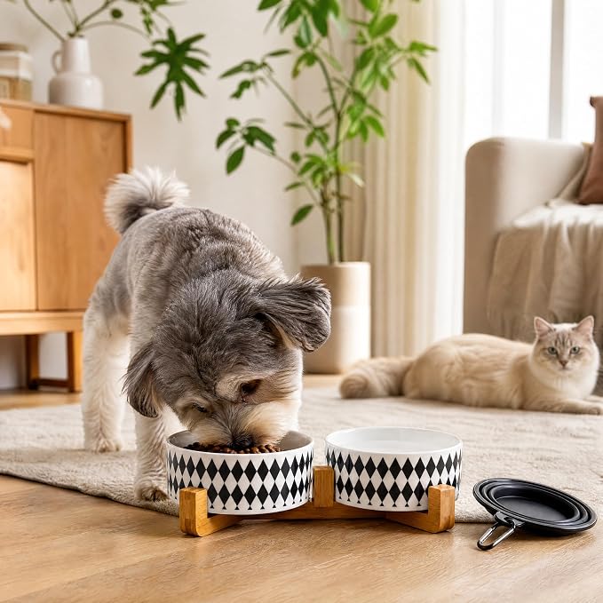 Petygooing Ceramic Dog Cat Bowl Set with Stand,Pet Food and Water Bowl,Small Dog Bowls Anti -Slip Set of 2 Cat Dishes Food Bowls Dish Small Size Pet (13.5OZ/5.1 in) Black Rhombus