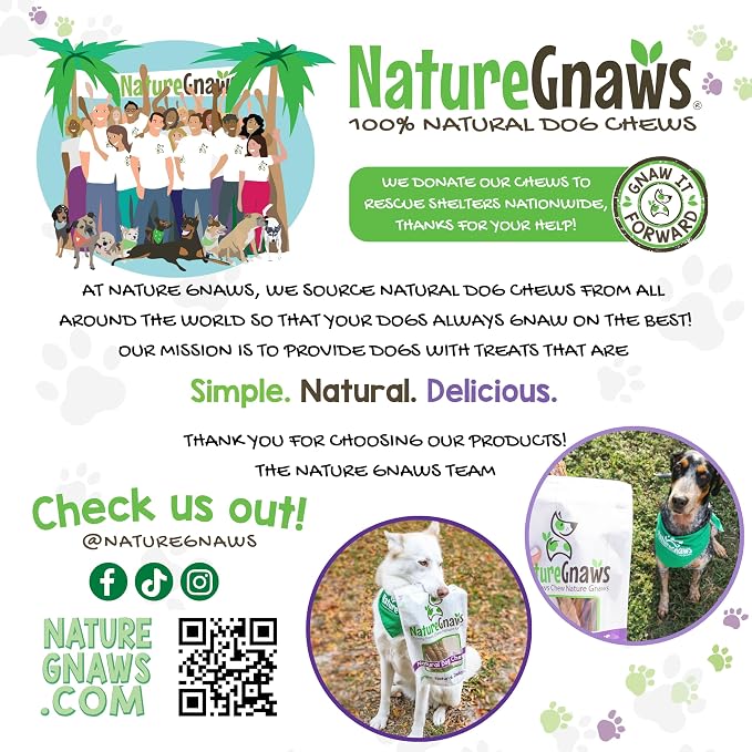 Nature Gnaws Bully Sticks for Dogs 11-12" (1Lb) - Mixed Thickness - Long Lasting for Aggressive Chewers and Large Dogs - Natural Beef Dog Chew Bones