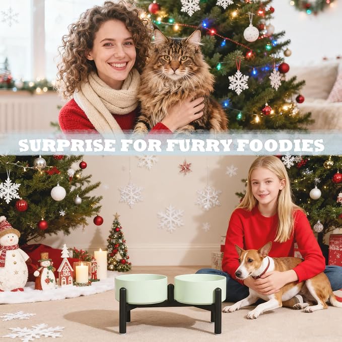 Ceramic Elevated Dog Bowl Set - Dog Feeder Station with Cute-Style Double Bowls for Small and Medium Size Breed - Non-Slip Raised Dish for Food and Water Feeding- 6 Inch - 3.5 Cups / 20 fl oz - Pink