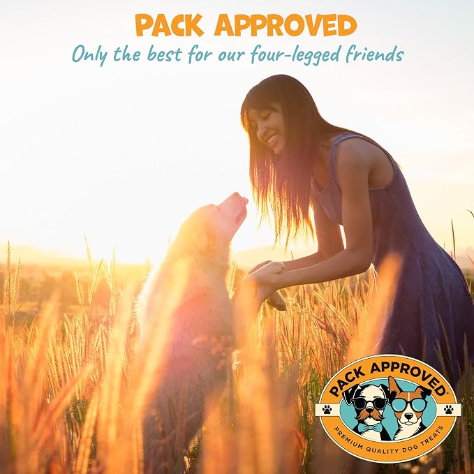 Pack Approved Chicken Chips - Crunchy, Single Ingredient Dog Treat -100% All Natural Chicken Breast - 12oz