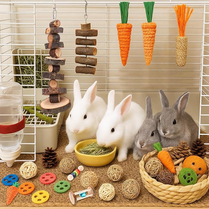 Novabright 33 PCS Rabbit Chew Treat Toys Set Natural Bunny Enrichment Toys for Teeth Health Indoor Outdoor for Rabbit Guinea Pig Chinchilla Hamster(Classic)