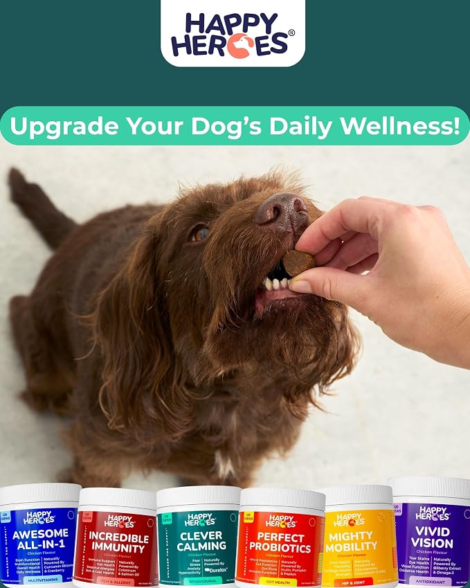Clever Calming Chews for Dogs, 100% Natural Dog Supplement, For Anxiety Relief, Helps Stress, Fear, Hyperactivity, Reactivity, Beef Flavor Calming Dog Treats, Made in USA, 60 Soft Chews
