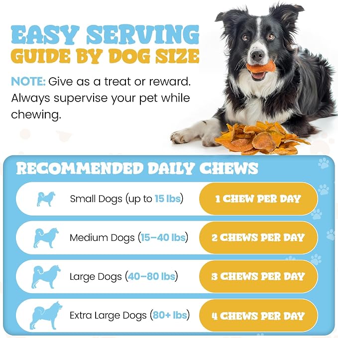 Dehydrated Natural Pumpkin Slices for Dogs- Crunchy Treats- 1lb Stay Fresh Resealable Bag, All-Natural- High Protein, Great For Sensitive Stomachs, Low Fat, A Healthy Rawhide Alternative for All Dogs