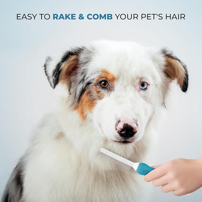Poodle Pet Bundle - Dematting Fur Rake Comb Brush Tool with Steel Safety Blades and Detangling Pet Comb with Long and Short Stainless Steel Teeth for Detangling Matted or Knotted Undercoat Hair (Blue)