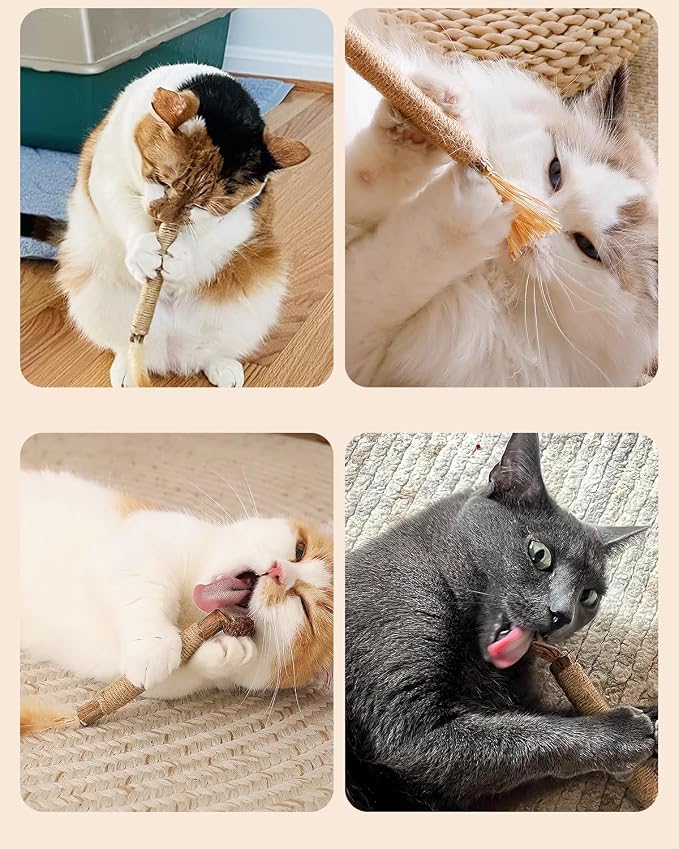 Tocirelo 12 Pack Cat Dental Chew Toys for Indoor Cats Teeth Cleaning and Teething Calming,Natural Silvervine Sticks