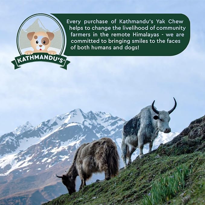 Authentic Himalayan Yak Cheese for Dogs - Mega (Pack of 1) - Sourced from Pristine Himalayan Foothill, Rawhide-Free, NO preservatives