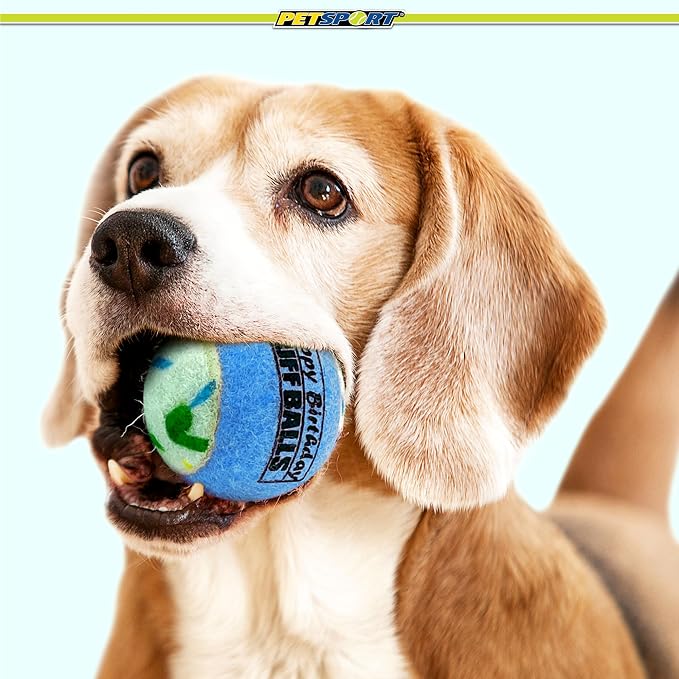 PetSport Jr. Happy Birthday Tuff Balls (1.8" Happy Birthday Tuff Balls Jr 4PK)