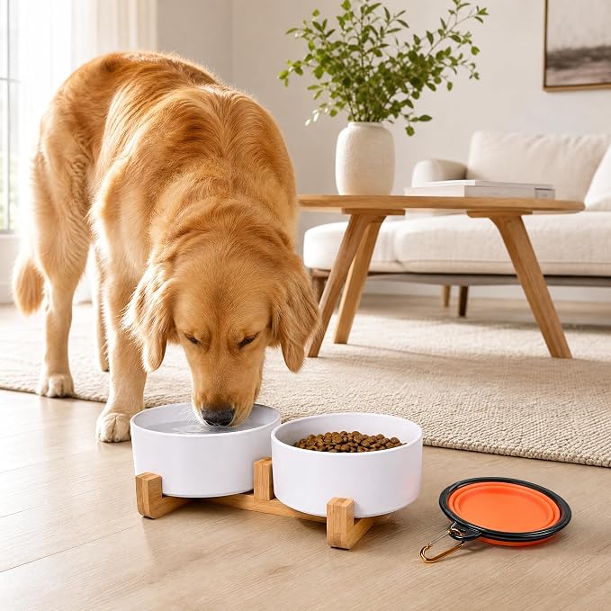 Petygooing Dog Bowls,White Ceramic Cat and Dog Bowl Set with Wood Stand for Food and Water, Non-Slip Cute Modern Pet Dish Set for Cats & Medium Dogs (28OZ)