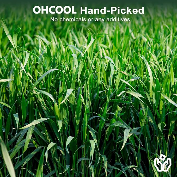 Premium Oat Hay for Pets - Dust Free Natural Green Fresh Pet Food Hay for Rabbits, Guinea Pigs, Chinchillas, Hamsters & Gerbils - 1.08 lbs