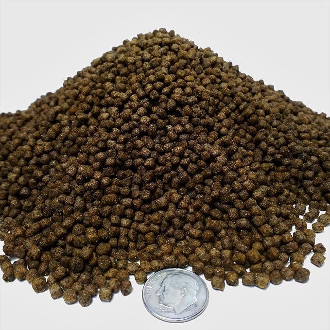 4.5mm - 3/16" 45% Protein Cichlid Floating Pellets, for Cichlids, Discus, All Tropical Fish & Pond Fish. 12-Type Pellet Mix and Sinking Wafer Mix Included - 1-lb