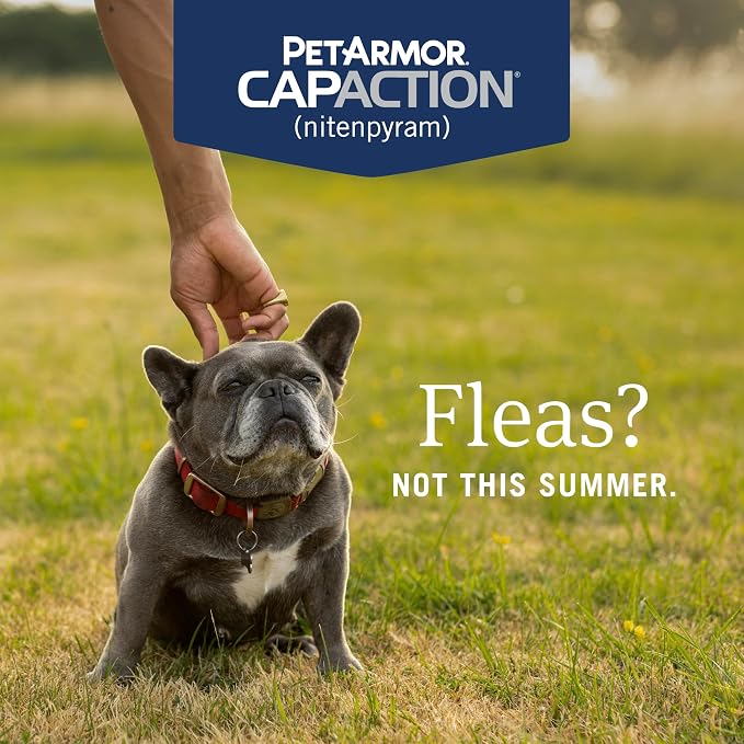 PetArmor CAPACTION (nitenpyram) Oral Flea Treatment for Dogs, Fast Acting Tablets Start Killing in 30 Minutes, Small Dog Flea Treatment 2-25 lbs, 6 Doses