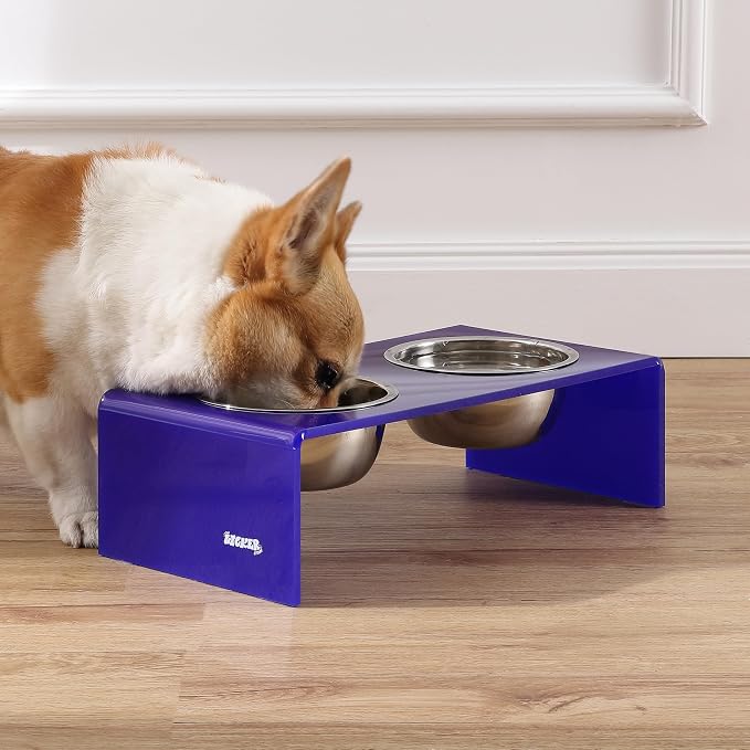 DBL2000F Keaton 5" Small/Medium Modern Acrylic Rectangular Elevated Pet Feeder with 20oz 2-Stainless Steel Bowls, Purple/Chrome
