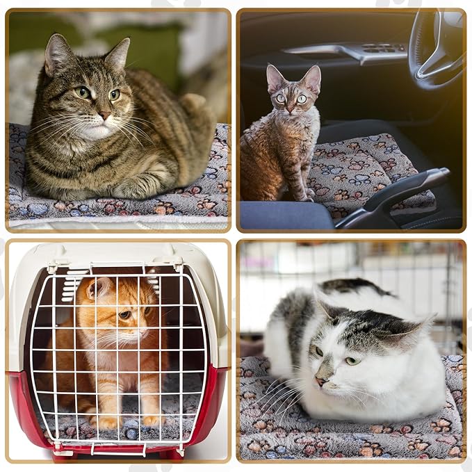 Tuanse 4 Pack Ultra Soft Dog Cat Bed Mat Small Animal Guinea Pig Bed with Cute Print Reversible Fleece Dog Crate Kennel Pad Cozy Washable Thickened Hamster Pet Beds Mat(23 x 18 Inches,Gray)