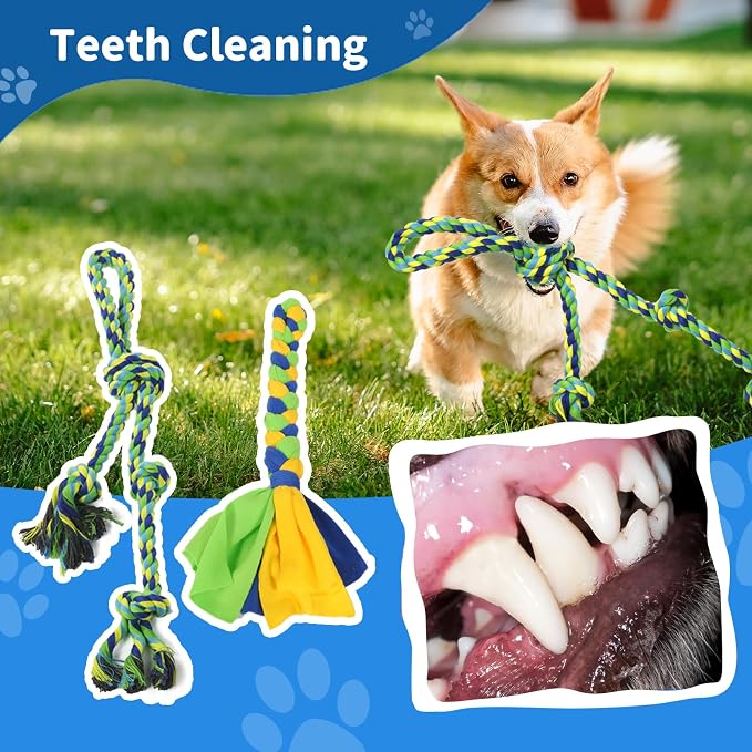 Outdoor Dog Toy,Interactive Dog Toys Outside Tug of War Dog Toy Interactive Exercise Game for Small Medium Large Dogs in Yard Park Playground Play Equipment