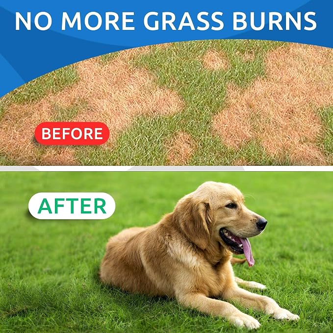Dog Probiotics Chews + Calming Hemp Treats + All-Natural Grass Treatment - Gas, Diarrhea, Allergy, Constipation, Upset Stomach Relief + Anxiety Relief - Separation Aid + Grass Saver Pee Lawn Repair