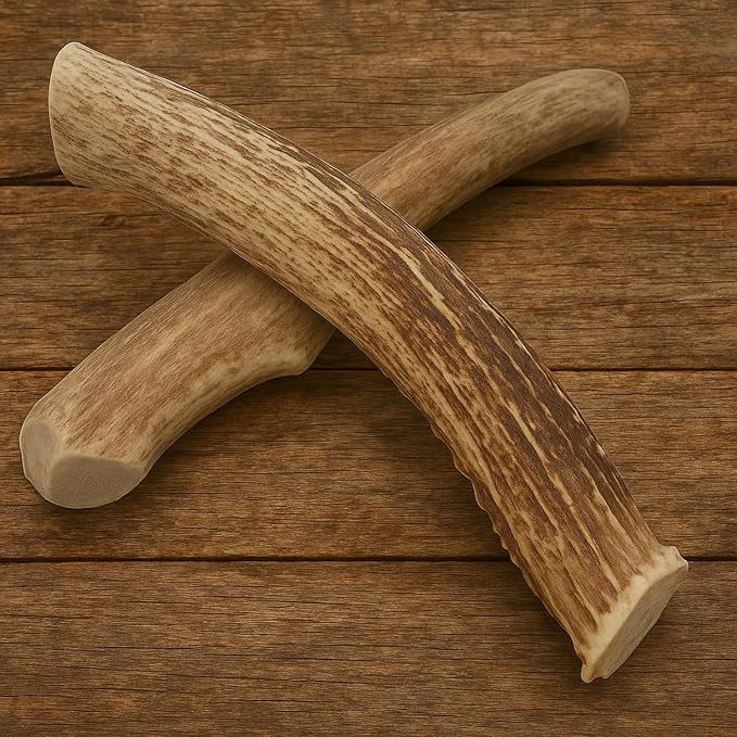 WhiteTail Naturals - Deer Antlers for Large Dogs - Long Lasting Antler Dog Chews - Crafted in USA, Naturally Shed Antler Dog Bones for Aggressive Chewers (Large (Pack of 2))