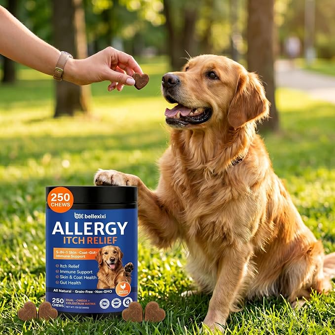 Dog Allergy Chews 250ct - Seasonal Allergy & Itching Skin Relief for Dogs - Soft Chews with Colostrum, Probiotics & Omega 3 for Licking Paws, Hot Spots & Immune Support - Chicken Flavor (17.6 OZ)