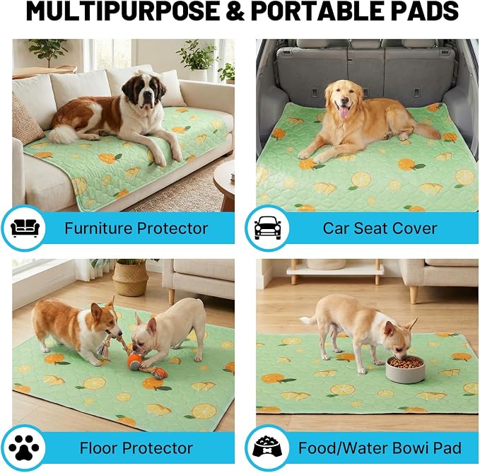 Washable Pee Pads for Dogs and Cats, 36x41In 5-Layer Ultra-Absorbent & Leak-Proof Potty Training Pads, Non-Slip Whelping Potty Pads for Housebreak Crates, Floors and Cars, 2 Packs Green