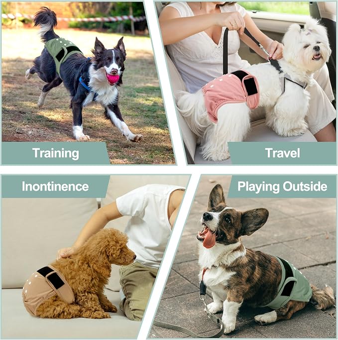 Washable Female Dog Diapers - Premium Reusable Diapers for Doggie in Heat - Highly Absorbent Dog Diapers Female for Pet Incontinence with Adjustable Snaps (Pink, M)