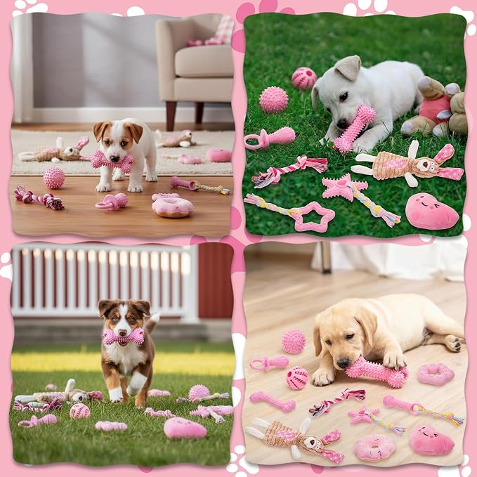 Leitee 14 Pcs Puppy Toys for Teething Dog Chew Toys for Small Dogs Soft Interactive Squeaky Plush Balls Doggy Teeth Tug of War and Rope for Small Dogs Puppy (Classic,Pink)
