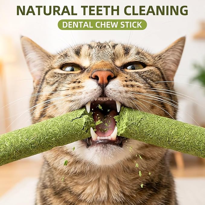 90g/3.17oz Cats Treat Cat Grass Teething Stick Kitten Toy Catnip Toys for Hairball Removal Freeze Dried Chew Dental Food for Indoor Kitty Lickable Edible Snack for Eliminate Fur Digestion
