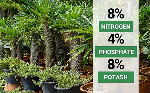 Gardenwise 8-4-8 Professional Palm Tree Fertilizer Plant Food; for Indoor Potted Plants and Outdoor Landscape Palm Trees; Quick-Release Nitrogen Fertilizer and Continuous Feeding (5 QUARTS)