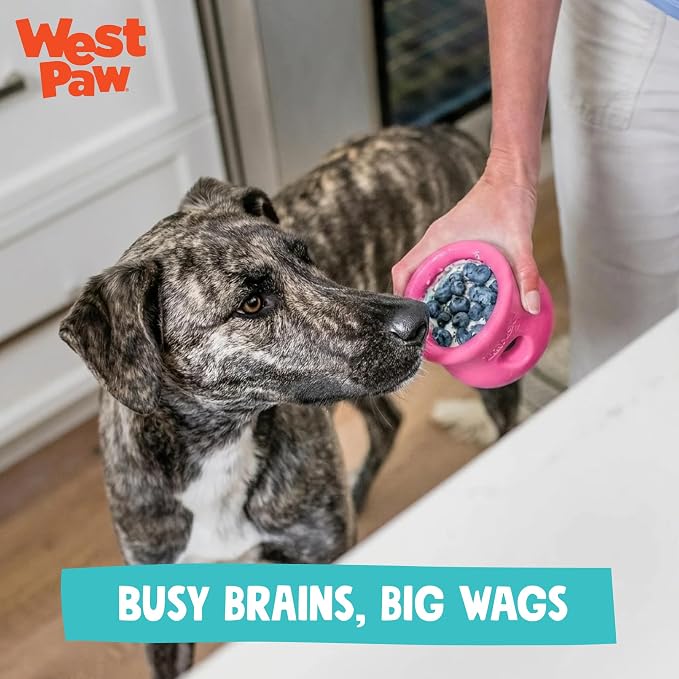 WEST PAW Zogoflex Toppl Interactive Treat Dispensing Puzzle Dog Toy for Mental Stimulation & Enrichment-Holds Kibble & Treats-Lickable, Freezable & Dishwasher Safe-Made in USA-Large-Teal