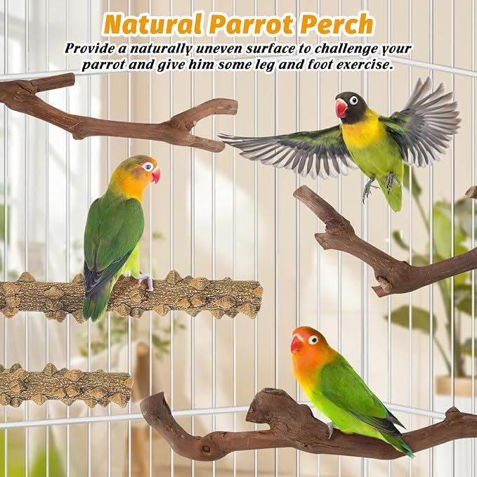 kathson Natural Parrot Perch for Cage Wooden Bird Perches Grape Bird Stick Parakeet Climbing Standing Branches Toy Chewable Cage Accessories for Small Budgies Cockatiels Lovebirds Budgies