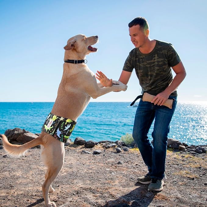 Male Belly Bands Dogs Diapers(4 Pack), Washable Reusable High Absorbing Boy Doggy Wraps Panties Doggie Puppy Pooping Potty Training Incontinence Marking Pañal para Perro X-Large