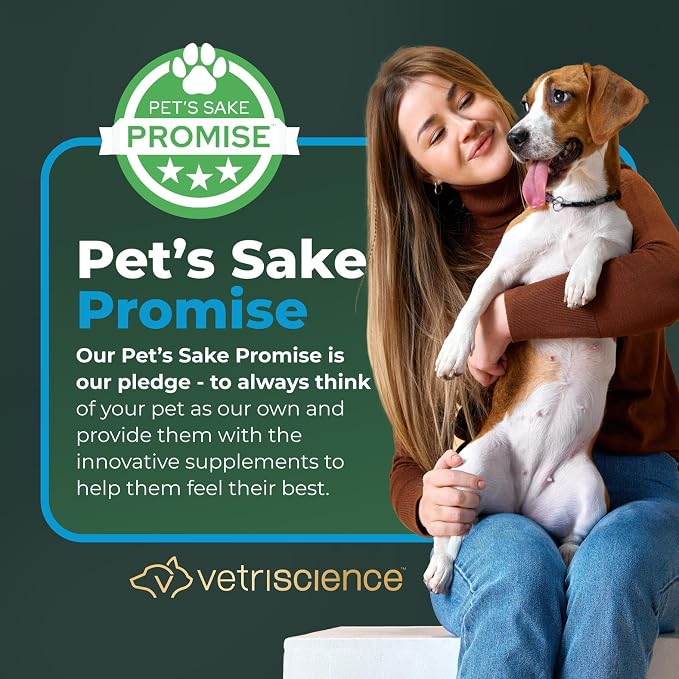 VetriScience Veterinary Strength Gut Health Powder - Gut Health Supplement for Pets - Immunity Support - Pet-Friendly Probiotic Powder - Tasteless & Odorless - 60 Servings