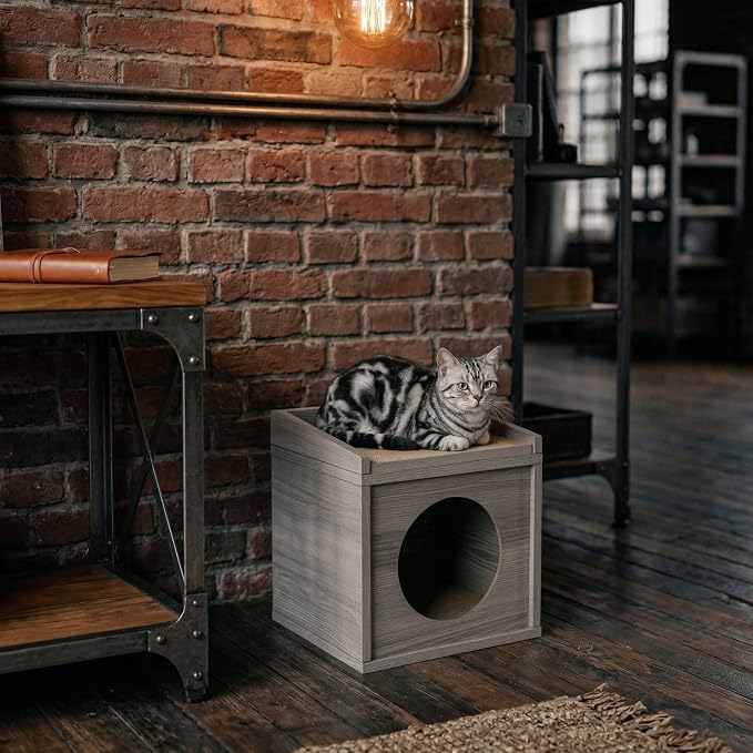 Meowdium Cat House for Indoor Cats – Cat Condo with 5X Longer-Lasting Cardboard Scratcher, 2 Scratcher Levels, Hideout & Top Lounge, Gray