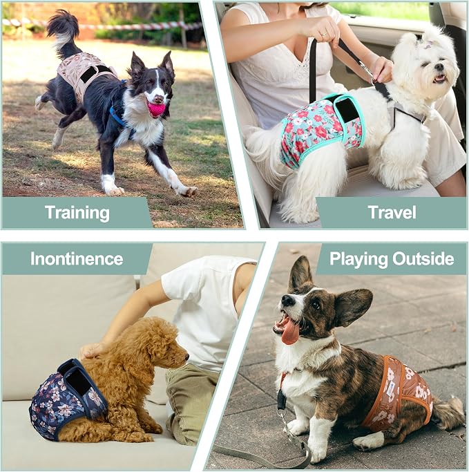 Female Dog Diapers 5Pcs - Premium Reusable Diapers for Doggie in Heat - Highly Absorbent Dog Diapers Female for Pet Incontinence with Adjustable Snaps, Breenish Lily Flower, XL