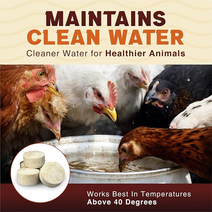 Stock Tank Clarifier - Improves Livestock Water by reducing buildup and Creating Healthier Water troughs. Safe for Horses, Cattle, Sheep, Goats & Chickens. (Tablet, 50, Count)