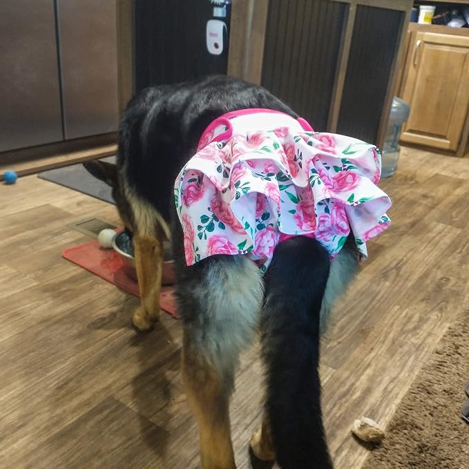 wegreeco Washable Dog Diapers (3 Pack), Highly Absorbent Dog Diapers for Female Dogs in Heat, Period, Incontinence, or Excitable Urination (Ocean of Flowers, Large)