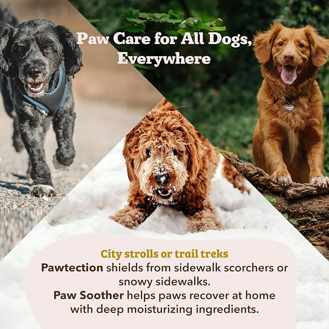 Natural Dog Company Paw Soother Balm & PawTection Stick Bundle for Dogs – Moisturizes, Heals & Protects Dry, Cracked Paws – Lick-Safe Dog Paw Balm Duo – 2 oz Tin + 0.15 oz Stick