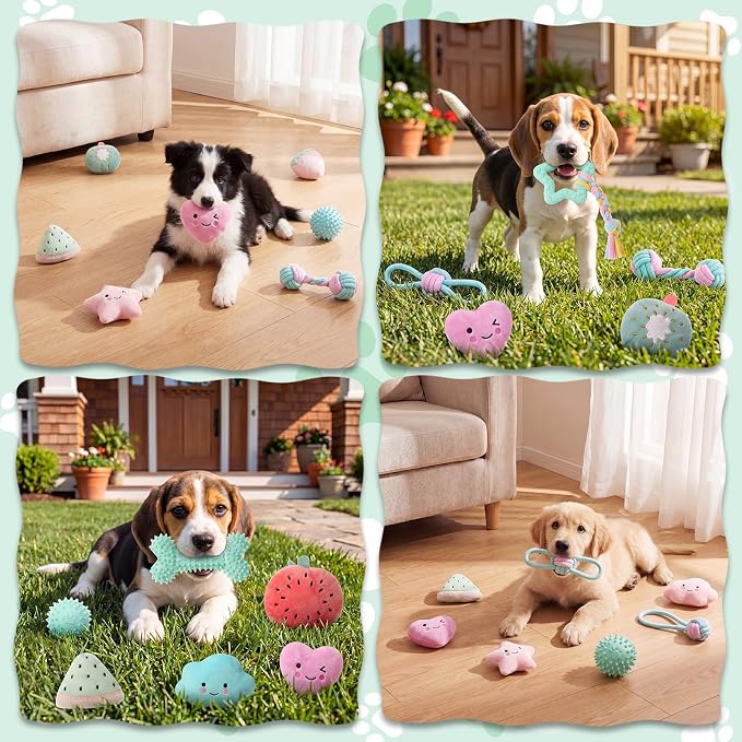 Leitee 16 Pcs Puppy Toys for Teething Dog Chew Toys for Small Dogs Soft Interactive Squeaky Plush Balls Doggy Teeth Tug of War and Rope for Small Dogs Puppy (Cute,Lemon Green,Pink)