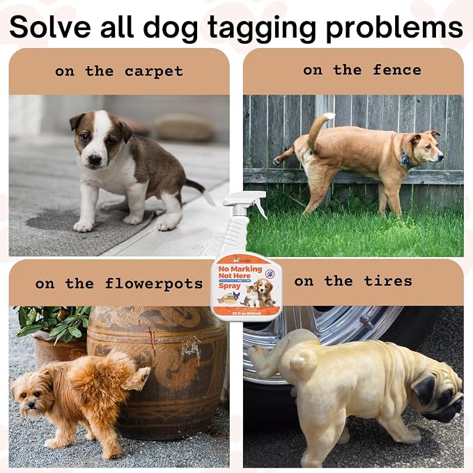 32oz Effective Solution for Training Dogs to Avoid Indoor Marking, Stop Dog Urinating in House with No More Peeing, Safe Don't Pee Here Dogs Marking Wrong