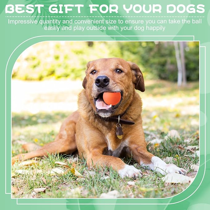 Shappy 12 Pieces Rubber Dog Tennis Balls for Dog Colorful Catching Pet Balls for Fetch Training 2.4 Inch Interactive Bounce and Floatable Toy for Park Beach