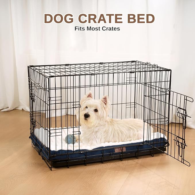 Orthopedic Dog Bed with Firm High-Density Egg Crate Foam Mattress,Soft Short Plush Surface Pet Beds,Machine Washable with Removable Cover & Non-Slip Bottom for Small Breeds(Blue, 23"L x 17"W x 3"H)