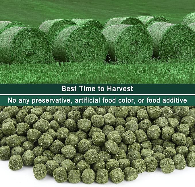 Timothy Hay Cubes 60 oz (6 * 10 oz) with Small Size - Timothy Grass Pellets for Tortoises Rabbits Guinea Pig Chinchilla