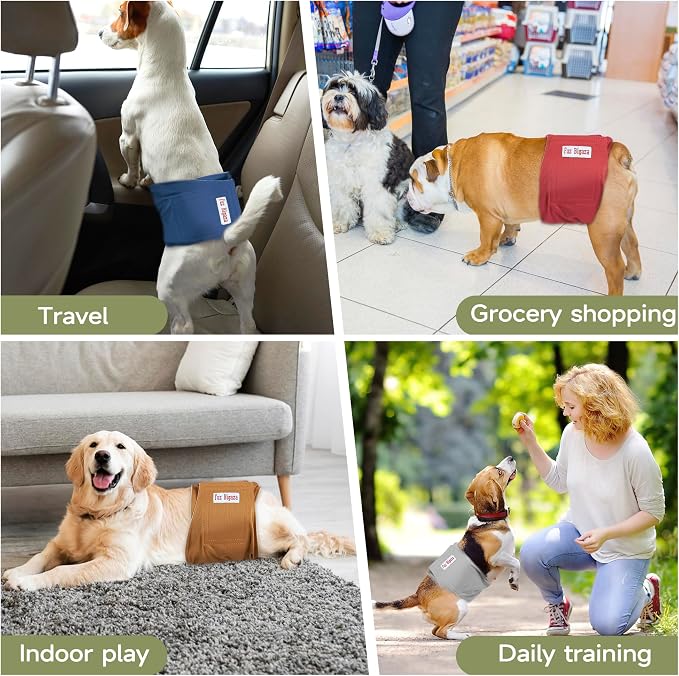 Male Dogs Diapers, Washable Reusable High Absorbing Boy Belly Bands Doggy Wraps Panties Doggie Puppy Pooping Potty Training Incontinence Marking Middle(5 Pack)